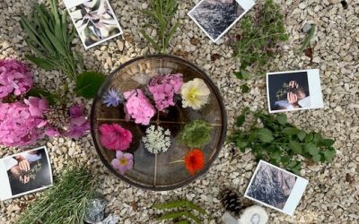 Mabon, die Herbst-Tag-und-Nachtgleiche und die Dankbarkeit