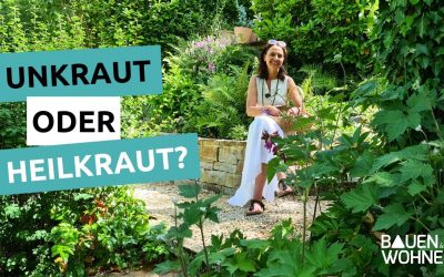 Heilwirkung von Nachtkerze, Lavendel, Giersch & Co. – Entdecke die Kraft der Wildpflanzen