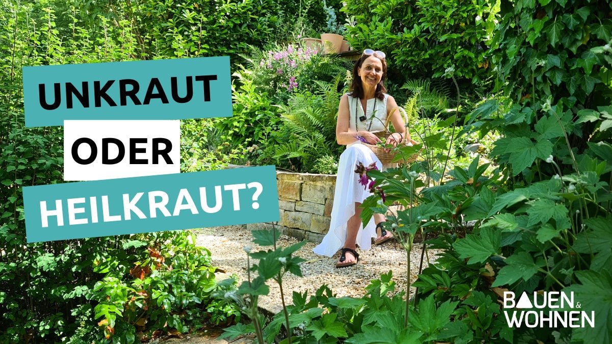 Kraeutergarten-169101